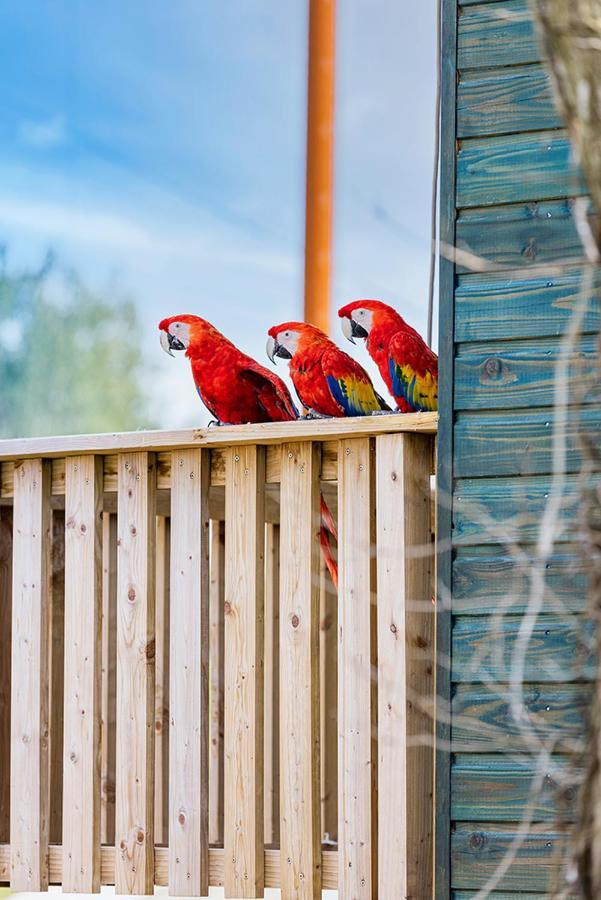 Parrot World - Les Lodges Креси-ла-Шапель Экстерьер фото