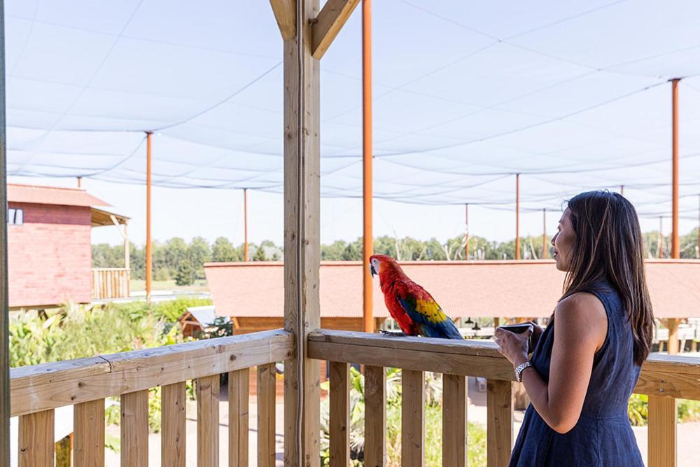 Parrot World - Les Lodges Креси-ла-Шапель Экстерьер фото